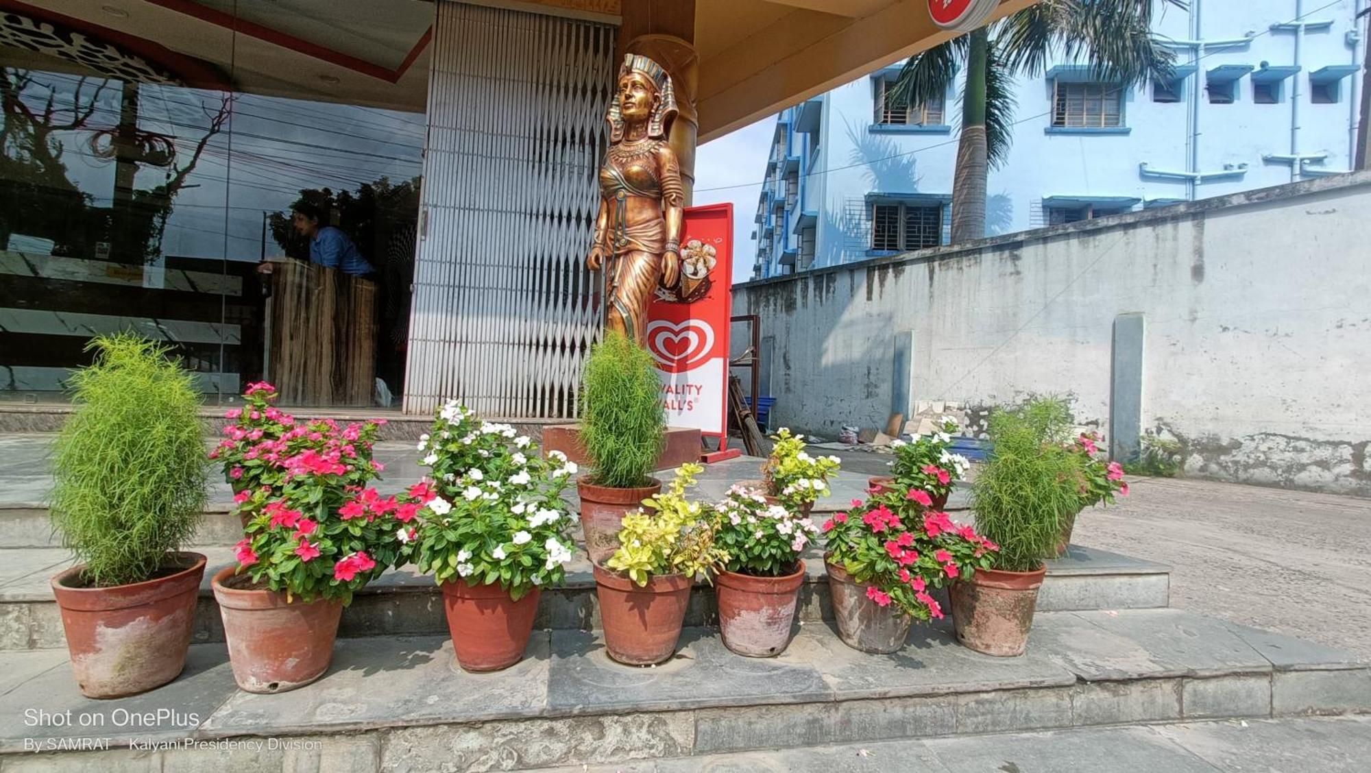 Trisplanet Hotel Kalyani Buitenkant foto